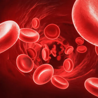 Iron deficiency after bariatric surgery – Celebrate Vitamins