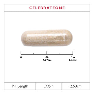 CelebrateONE Bariatric One A Day Multivitamin, без железа